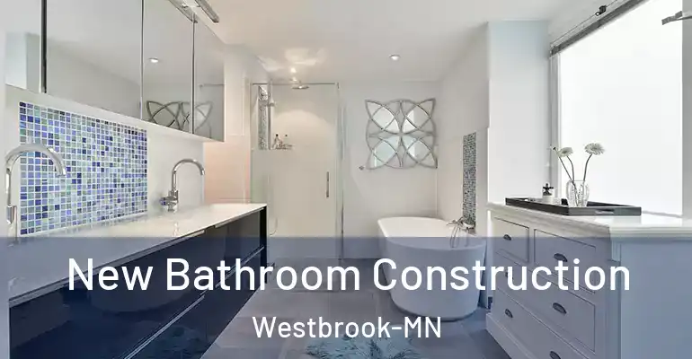 inner Bathroom imggen New Bathroom Construction Westbrook-MN