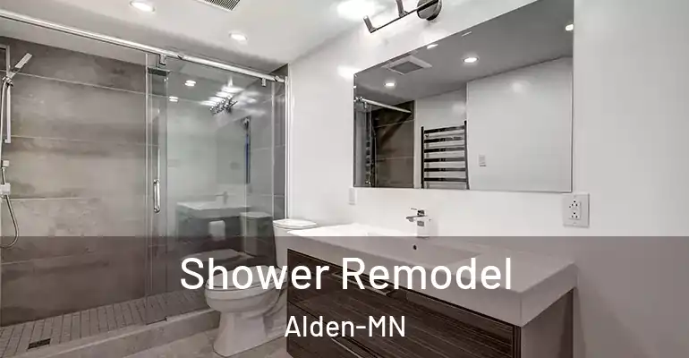 inner Bathroom imggen Shower Remodel Alden-MN