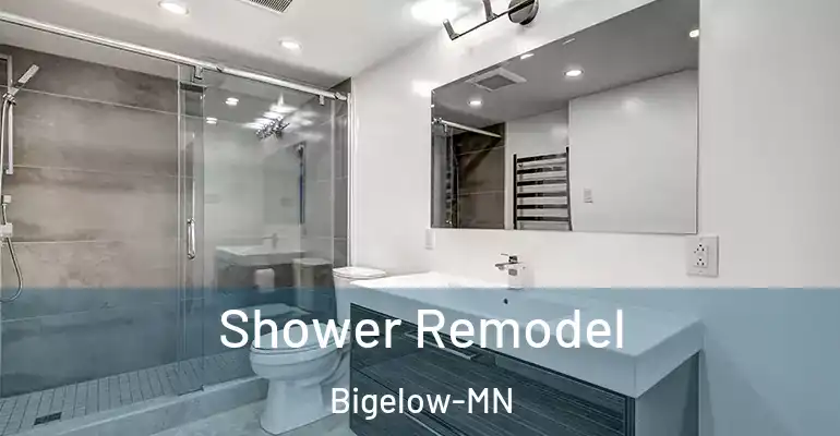 inner Bathroom imggen Shower Remodel Bigelow-MN