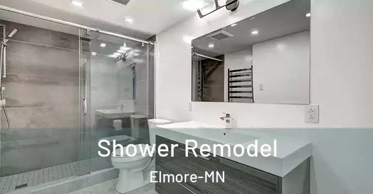 inner Bathroom imggen Shower Remodel Elmore-MN