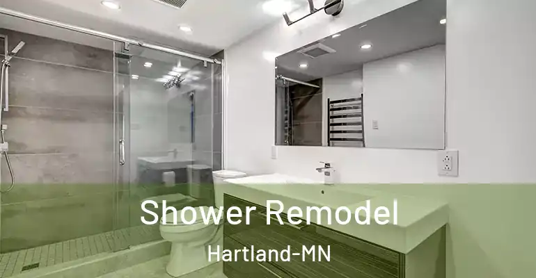 inner Bathroom imggen Shower Remodel Hartland-MN
