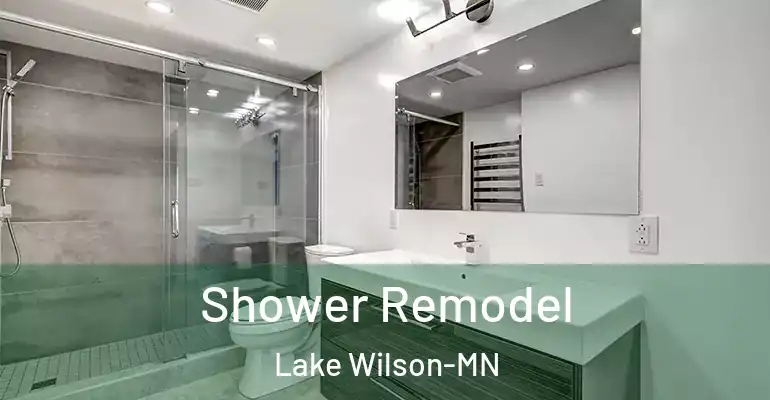 inner Bathroom imggen Shower Remodel Lake Wilson-MN