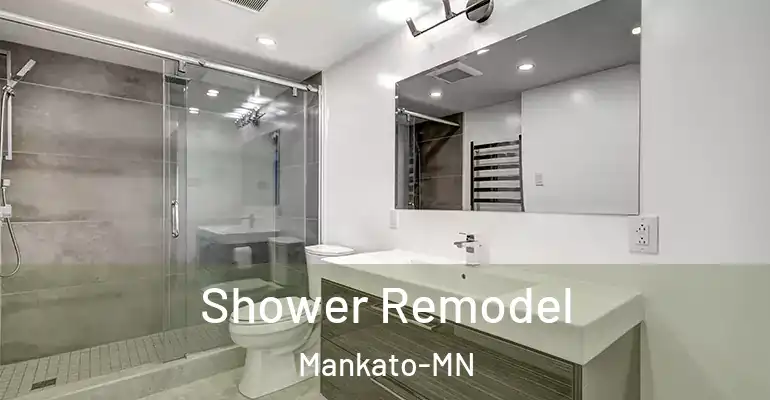 inner Bathroom imggen Shower Remodel Mankato-MN
