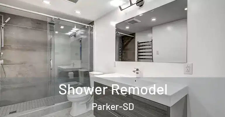 inner Bathroom imggen Shower Remodel Parker-SD