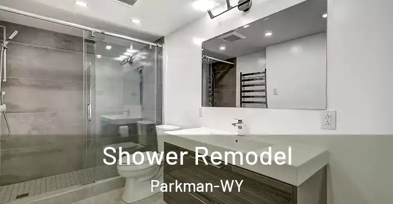 inner Bathroom imggen Shower Remodel Parkman-WY