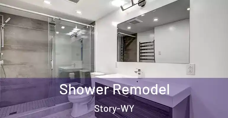 inner Bathroom imggen Shower Remodel Story-WY