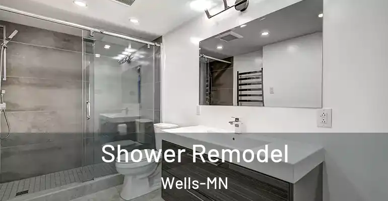 inner Bathroom imggen Shower Remodel Wells-MN