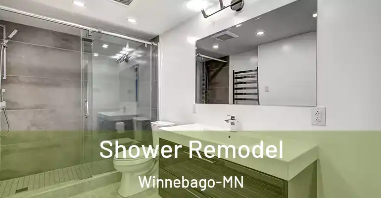 inner Bathroom imggen Shower Remodel Winnebago-MN