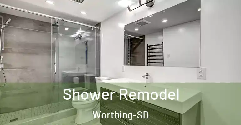 inner Bathroom imggen Shower Remodel Worthing-SD