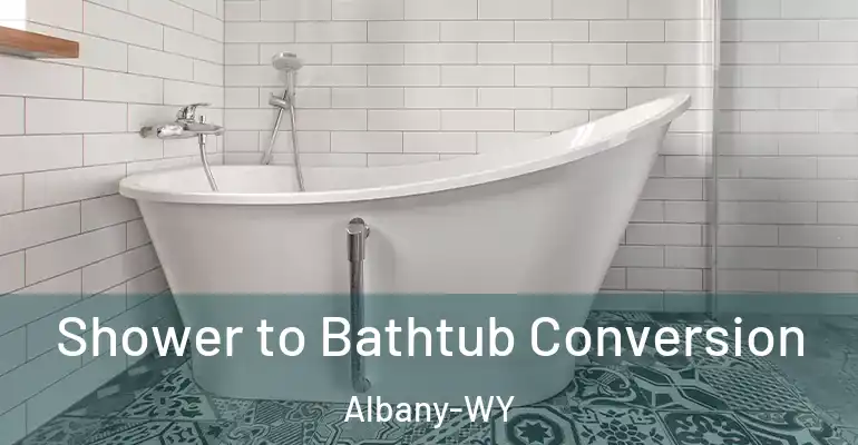 inner Bathroom imggen Shower to Bathtub Conversion Albany-WY