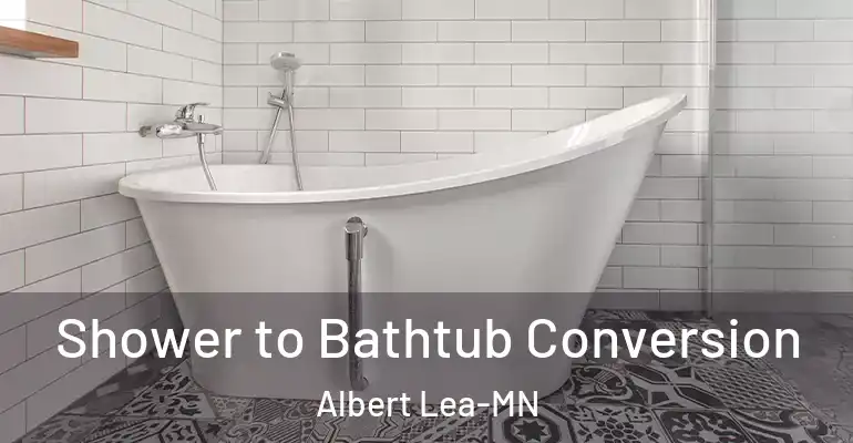 inner Bathroom imggen Shower to Bathtub Conversion Albert Lea-MN