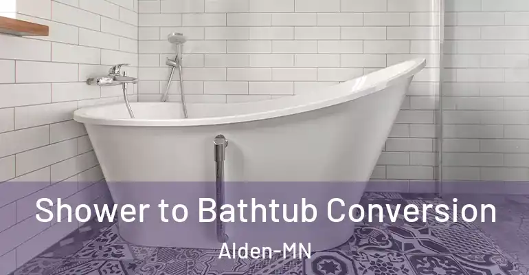 inner Bathroom imggen Shower to Bathtub Conversion Alden-MN