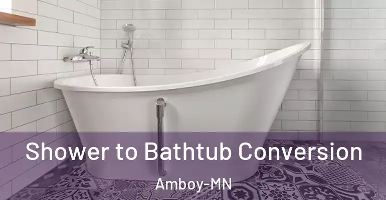 inner Bathroom imggen Shower to Bathtub Conversion Amboy-MN