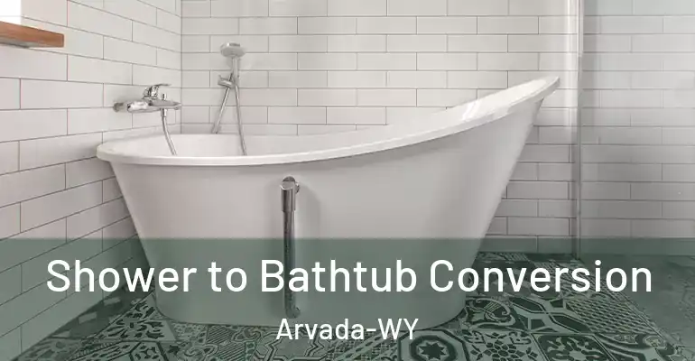 inner Bathroom imggen Shower to Bathtub Conversion Arvada-WY
