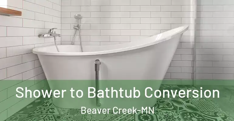 inner Bathroom imggen Shower to Bathtub Conversion Beaver Creek-MN
