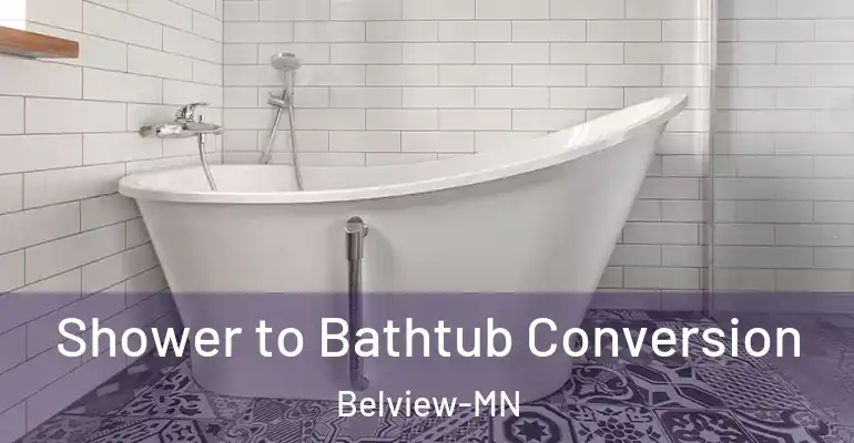 inner Bathroom imggen Shower to Bathtub Conversion Belview-MN