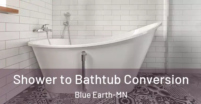 inner Bathroom imggen Shower to Bathtub Conversion Blue Earth-MN