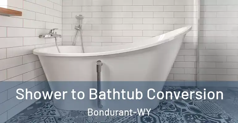 inner Bathroom imggen Shower to Bathtub Conversion Bondurant-WY