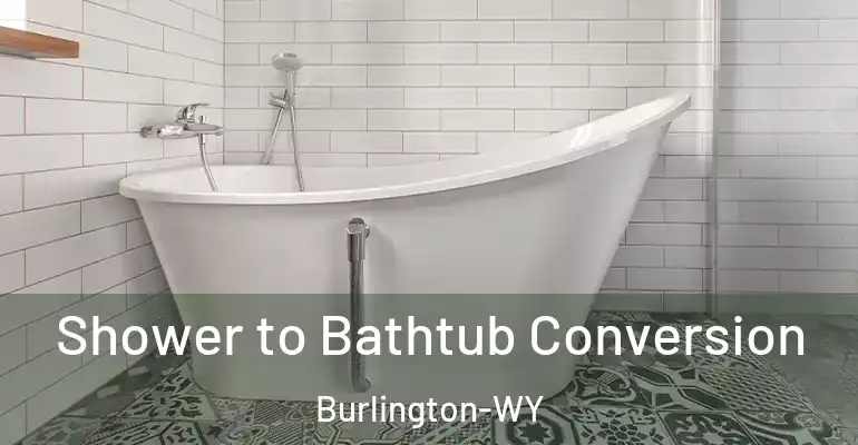inner Bathroom imggen Shower to Bathtub Conversion Burlington-WY