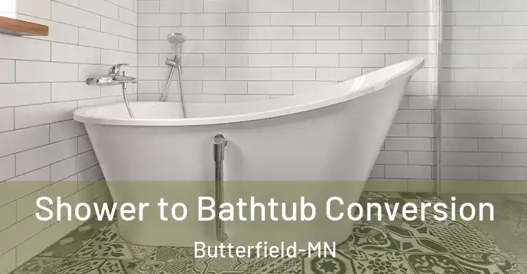 inner Bathroom imggen Shower to Bathtub Conversion Butterfield-MN