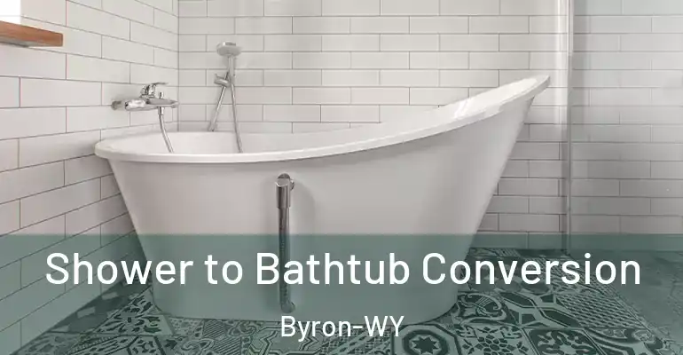 inner Bathroom imggen Shower to Bathtub Conversion Byron-WY