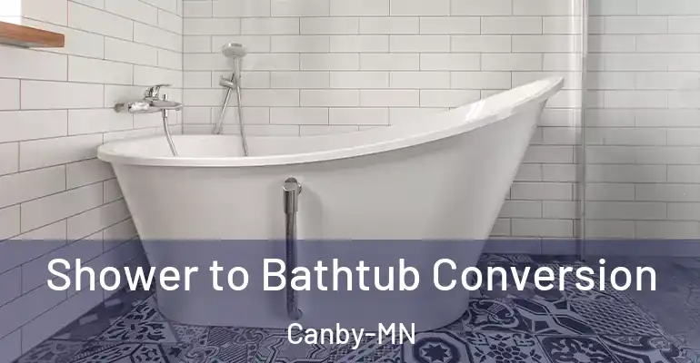 inner Bathroom imggen Shower to Bathtub Conversion Canby-MN