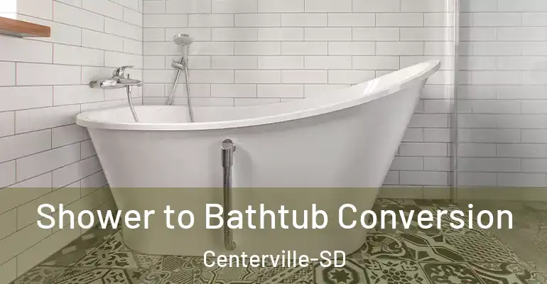 inner Bathroom imggen Shower to Bathtub Conversion Centerville-SD