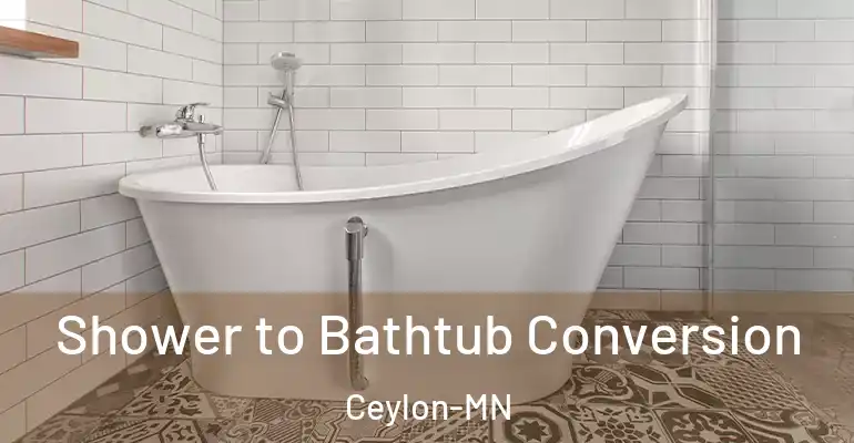 inner Bathroom imggen Shower to Bathtub Conversion Ceylon-MN
