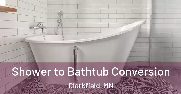 inner Bathroom imggen Shower to Bathtub Conversion Clarkfield-MN