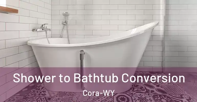 inner Bathroom imggen Shower to Bathtub Conversion Cora-WY