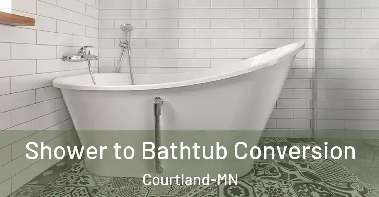 inner Bathroom imggen Shower to Bathtub Conversion Courtland-MN