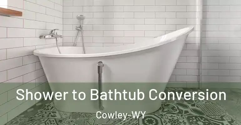inner Bathroom imggen Shower to Bathtub Conversion Cowley-WY