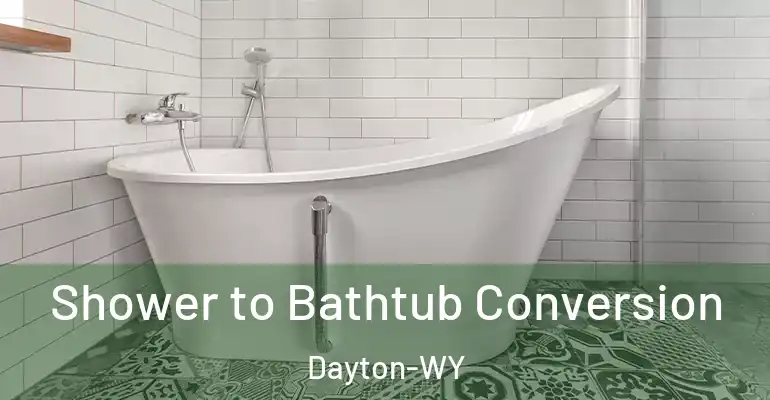 inner Bathroom imggen Shower to Bathtub Conversion Dayton-WY
