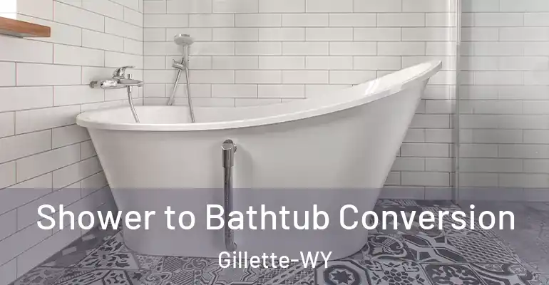 inner Bathroom imggen Shower to Bathtub Conversion Gillette-WY