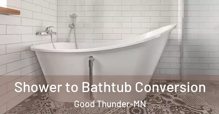 inner Bathroom imggen Shower to Bathtub Conversion Good Thunder-MN