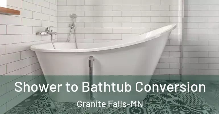 inner Bathroom imggen Shower to Bathtub Conversion Granite Falls-MN