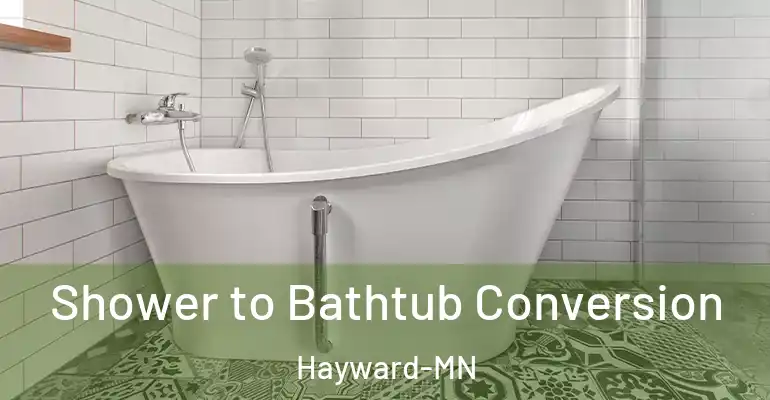 inner Bathroom imggen Shower to Bathtub Conversion Hayward-MN