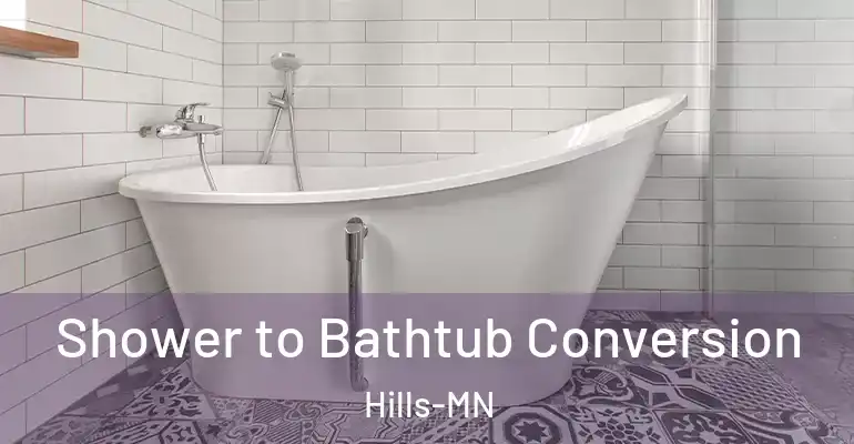 inner Bathroom imggen Shower to Bathtub Conversion Hills-MN