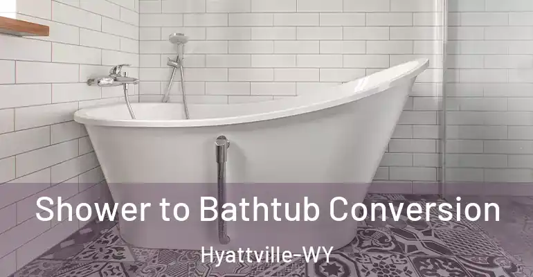 inner Bathroom imggen Shower to Bathtub Conversion Hyattville-WY