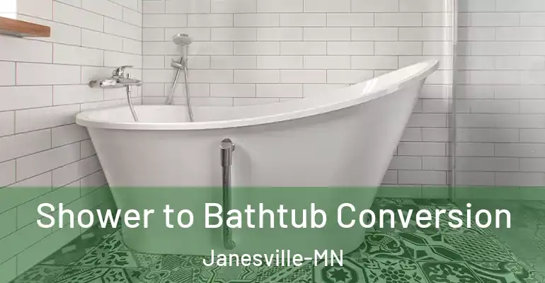 inner Bathroom imggen Shower to Bathtub Conversion Janesville-MN