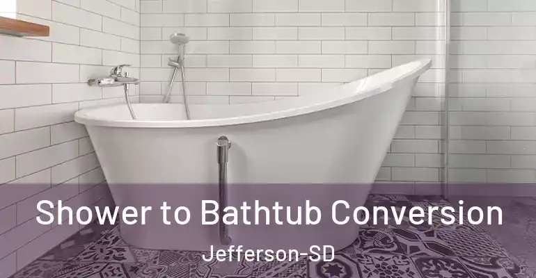 inner Bathroom imggen Shower to Bathtub Conversion Jefferson-SD