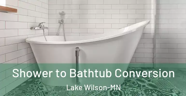 inner Bathroom imggen Shower to Bathtub Conversion Lake Wilson-MN