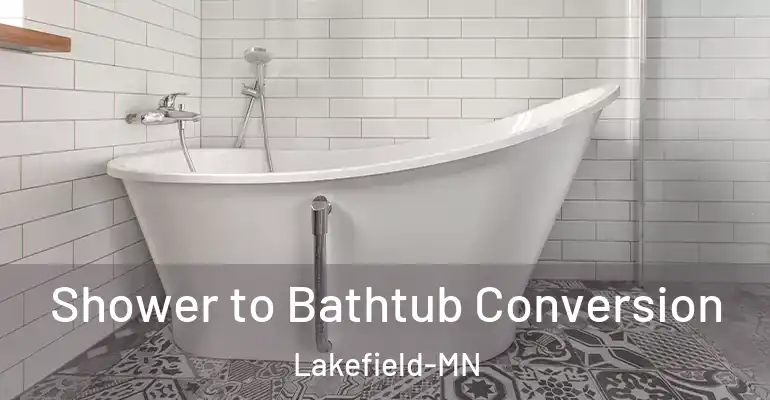 inner Bathroom imggen Shower to Bathtub Conversion Lakefield-MN
