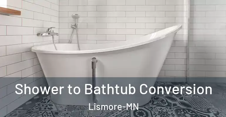 inner Bathroom imggen Shower to Bathtub Conversion Lismore-MN