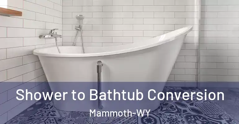 inner Bathroom imggen Shower to Bathtub Conversion Mammoth-WY
