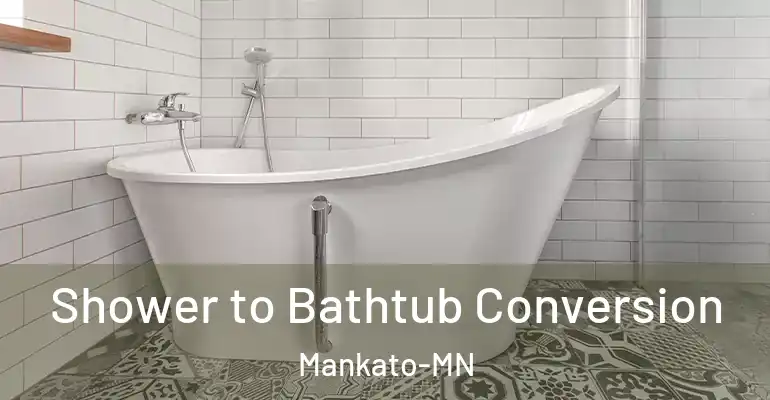 inner Bathroom imggen Shower to Bathtub Conversion Mankato-MN