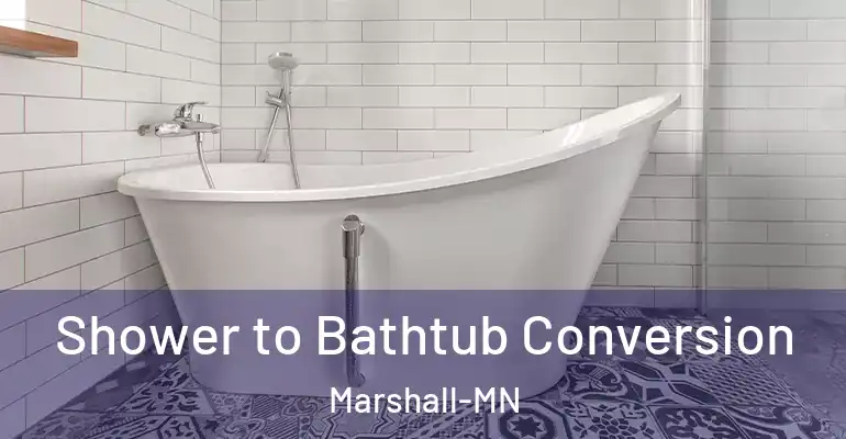 inner Bathroom imggen Shower to Bathtub Conversion Marshall-MN