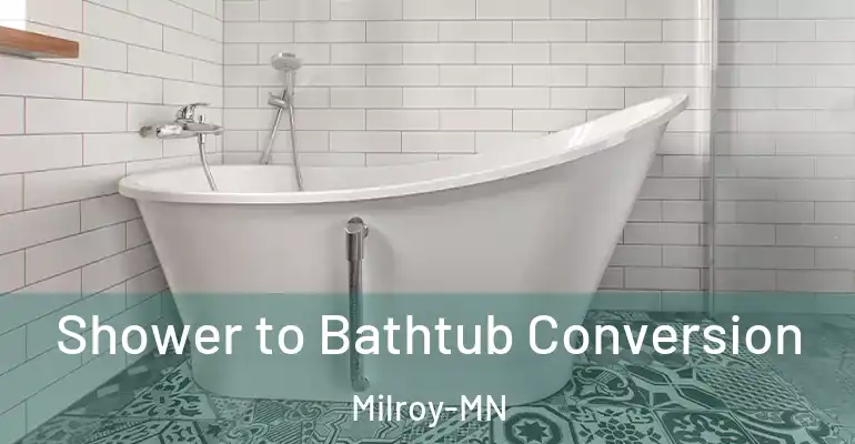 inner Bathroom imggen Shower to Bathtub Conversion Milroy-MN