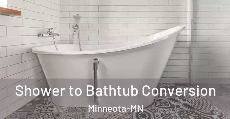 inner Bathroom imggen Shower to Bathtub Conversion Minneota-MN