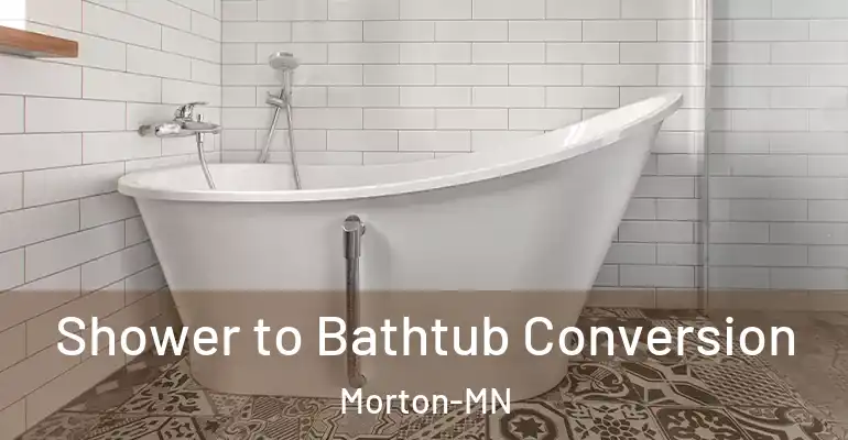 inner Bathroom imggen Shower to Bathtub Conversion Morton-MN